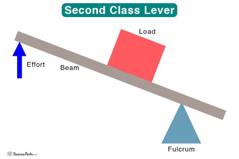 Lever: Definition, Parts, Types, and Examples