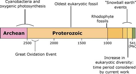 Timeline showing the key geological events during the late Archean and ...