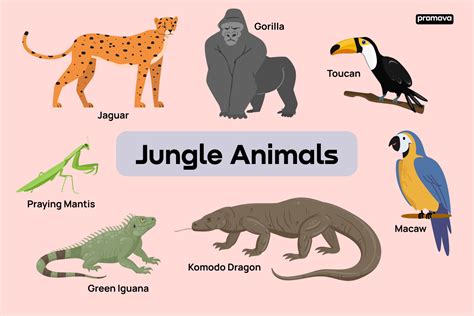 List Of Jungle Animals Names Pictures Grammarvocab – NBKomputer