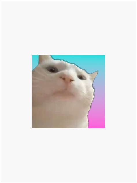 "Vibing Cat Meme " Sticker by Bighomie | Redbubble