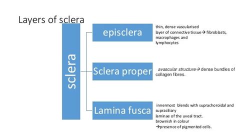 Diseases of sclera