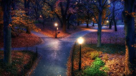 Central Park Night Wallpapers - 4k, HD Central Park Night Backgrounds ...