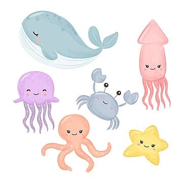 Sea Creatures PNG Transparent Images Free Download | Vector Files | Pngtree