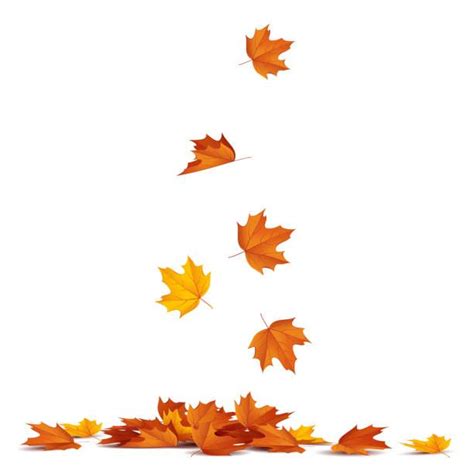 Top Autumn Leaves Stock Vectors, Illustrations & Clip Art | Fall leaves drawing, Fall leaves ...