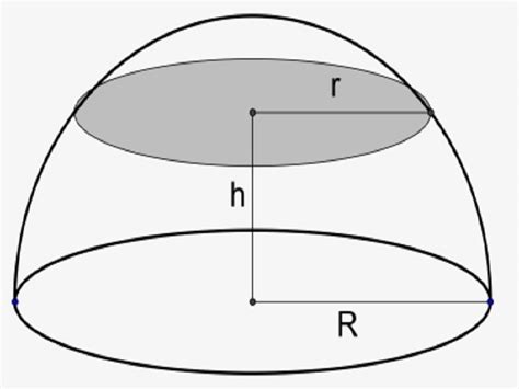 14 Hemisphere Examples in Real Life – StudiousGuy