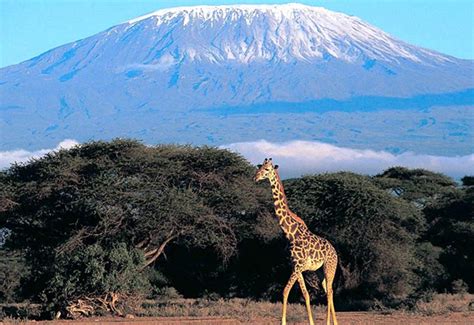 Kilimanjaro National Park - Tanzania Tourism Safaris