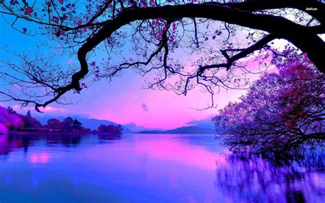 Purple Sunrise Wallpapers - Top Free Purple Sunrise Backgrounds - WallpaperAccess