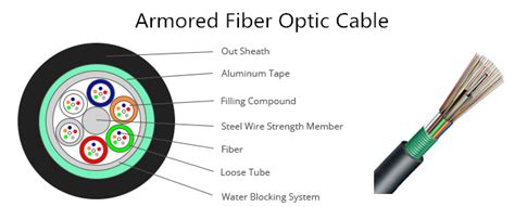 Fiber Optic Cable Types: What Are the Most Popular Types?