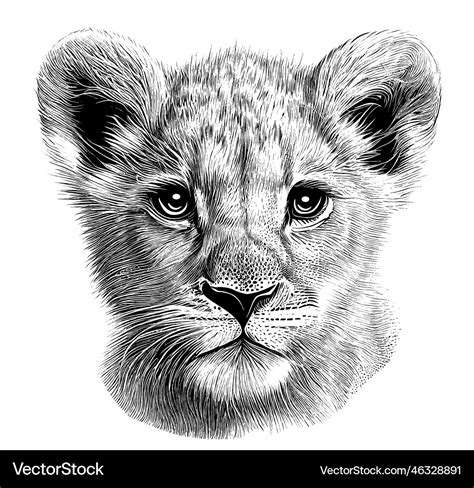 Little lion cub portrait hand drawn sketch Vector Image