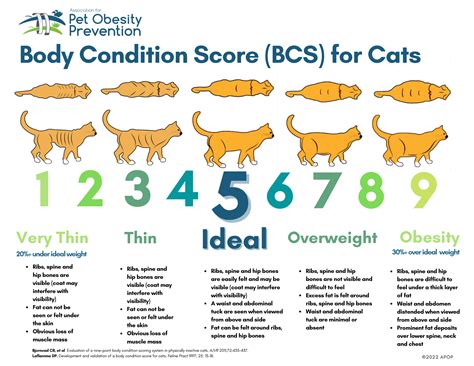 Pet Body Condition Scoring — Association for Pet Obesity Prevention