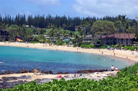 Napili Bay - Maui Condo Homes