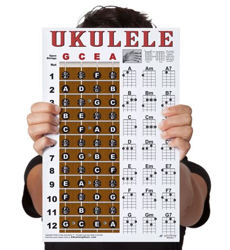 Buy Laminated Ukulele Fretboard Notes & Easy Beginner Chord Chart 11"x17" Instructional for ...