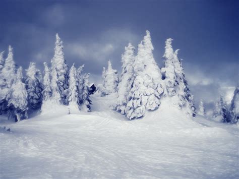 Snowy Winter Scenes Wallpaper (44+ images)