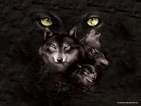 Black Wolf Pack Wallpaper