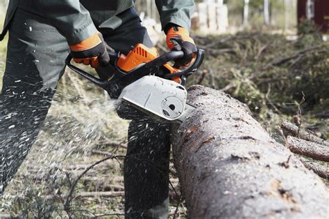 The 8 Best Chainsaw Sharpeners of 2022