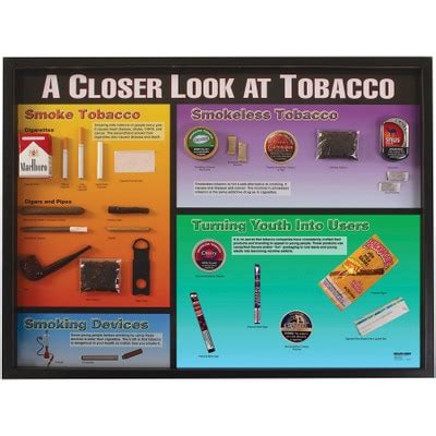 Tobacco Education Materials & Models | Health Edco