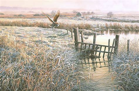 “Frosty Morning” Hunting Barn Owl Print