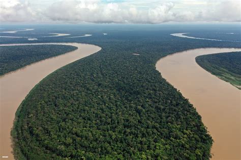 Brazil revises deforestation data: Amazon rainforest loss topped 10,000 sq km in 2019