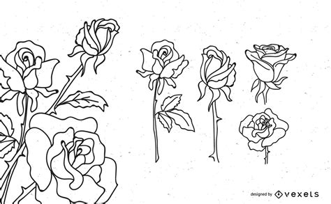 Rose Outline Design Set Vector Download