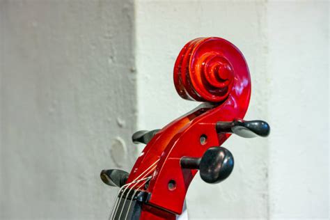 540+ Tuning A Violin Stock Photos, Pictures & Royalty-Free Images - iStock