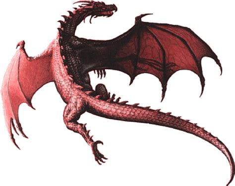 Harry Potter Dragons Dragon Images PNG fond transparent | PNG Play