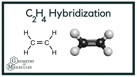 C2H4 Hybridization (Ethylene) - YouTube