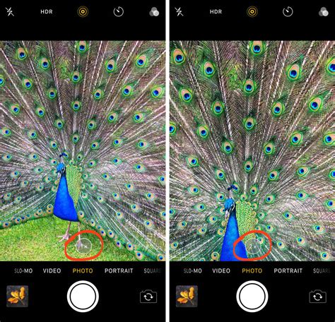 9 iPhone Camera Effects For Taking More Creative Photos