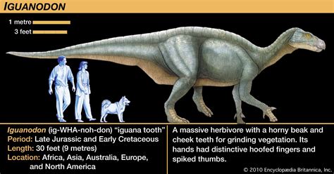 Dinosaur - Evolution, Classification, Extinction | Britannica