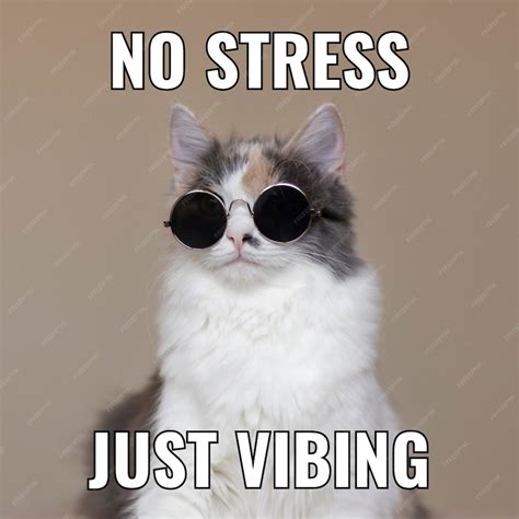 Free Vector | Simple vibing cat square meme