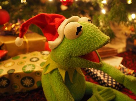 Free photo: Kermit, Frog, Christmas Frog - Free Image on Pixabay - 919822