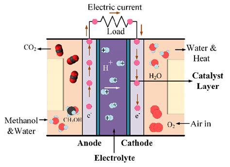 Schematic representation of Direct Methanol Fuel Cell (DMFC). This fuel ...