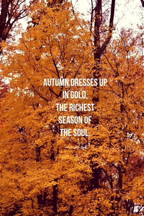 Autumn Happiness Quotes - ShortQuotes.cc