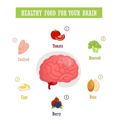 Premium Vector | Best food for brain health set illustration