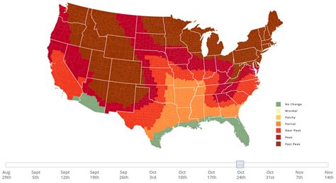 Fall foliage prediction map