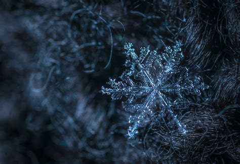 Free photo: Macro Photography of Snowflake - Art, Macro, Weather - Free Download - Jooinn