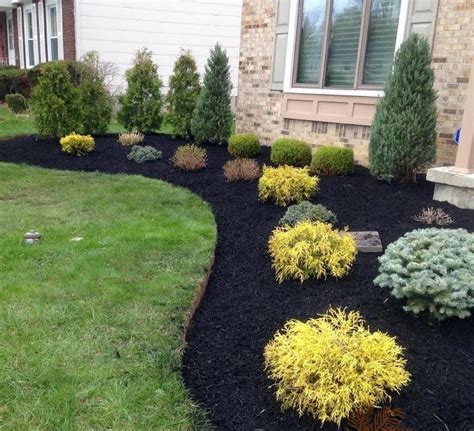 Top 8 Types Of Mulch Varieties For Garden | My Decorative