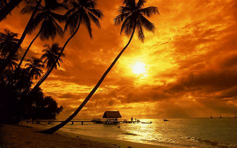 Tropical sunset wallpaper - Beach Wallpapers