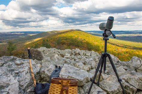 Autumn Hawk Migration | Hawk Mountain Sanctuary: Learn Visit Join