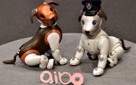 The robot AI dog that will keep an eye on children and the elderly