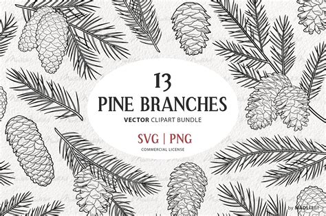 Pine Tree Branch Drawing