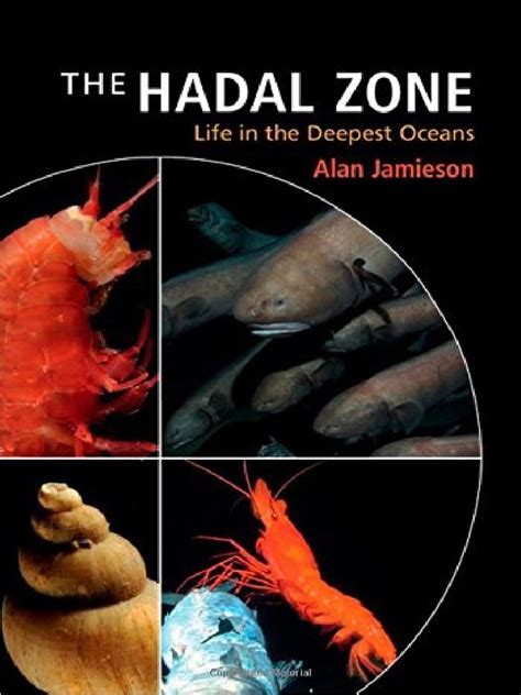 The Hadal Zone | Plate Tectonics | Hydrography