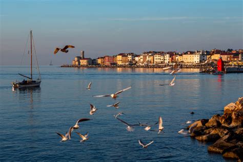 Piran Sunset Stock Photos, Pictures & Royalty-Free Images - iStock