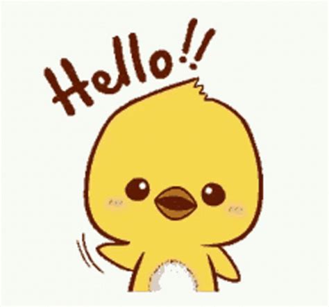 Hello Chicken GIF - Hello Chicken Cute - 探索與分享 GIF