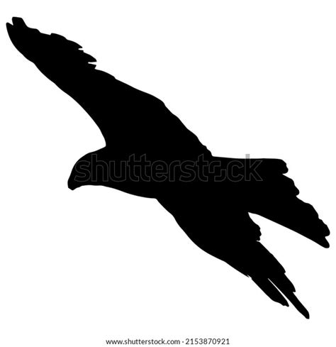 Silhouette Eagle Flight Stock Vector (Royalty Free) 2153870921 | Shutterstock