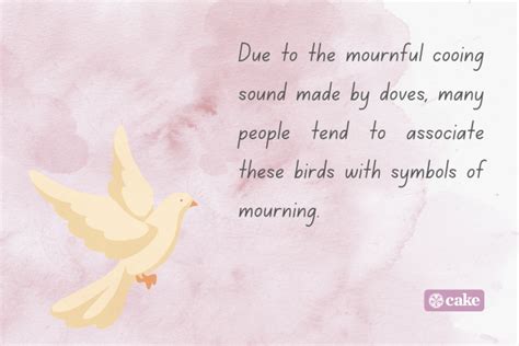 What Do Mourning Doves Symbolize? | Cake Blog