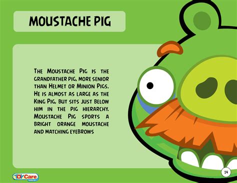 Moustache Pig Toy Care