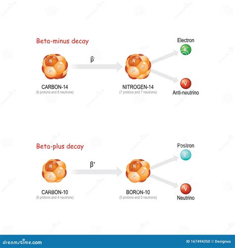 Beta-plus and Beta-minus Decay Stock Vector - Illustration of kinetic, neutron: 167494350