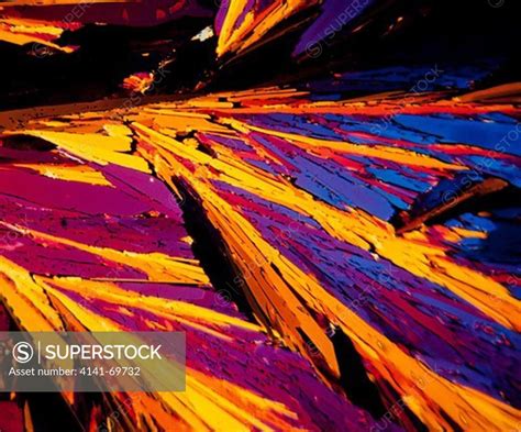 Oxalic acid cristals photomicrography with polarized light. Portugal ...