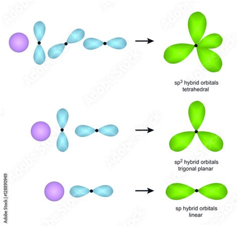 sp, sp2 and sp3 hybrid orbitals Stock Illustration | Adobe Stock