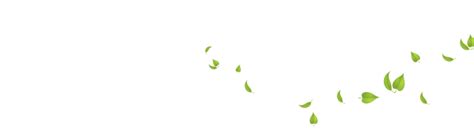 Green Leaves Transparent Background | PNG Mart